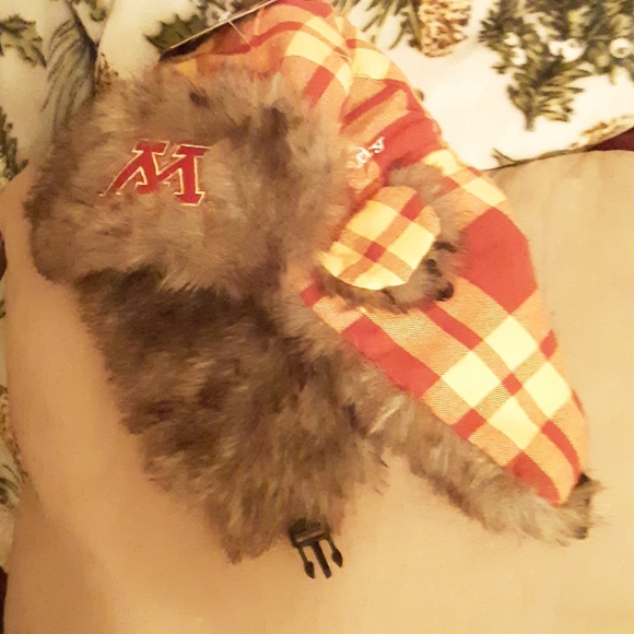 Hat - Picture 1 of 2